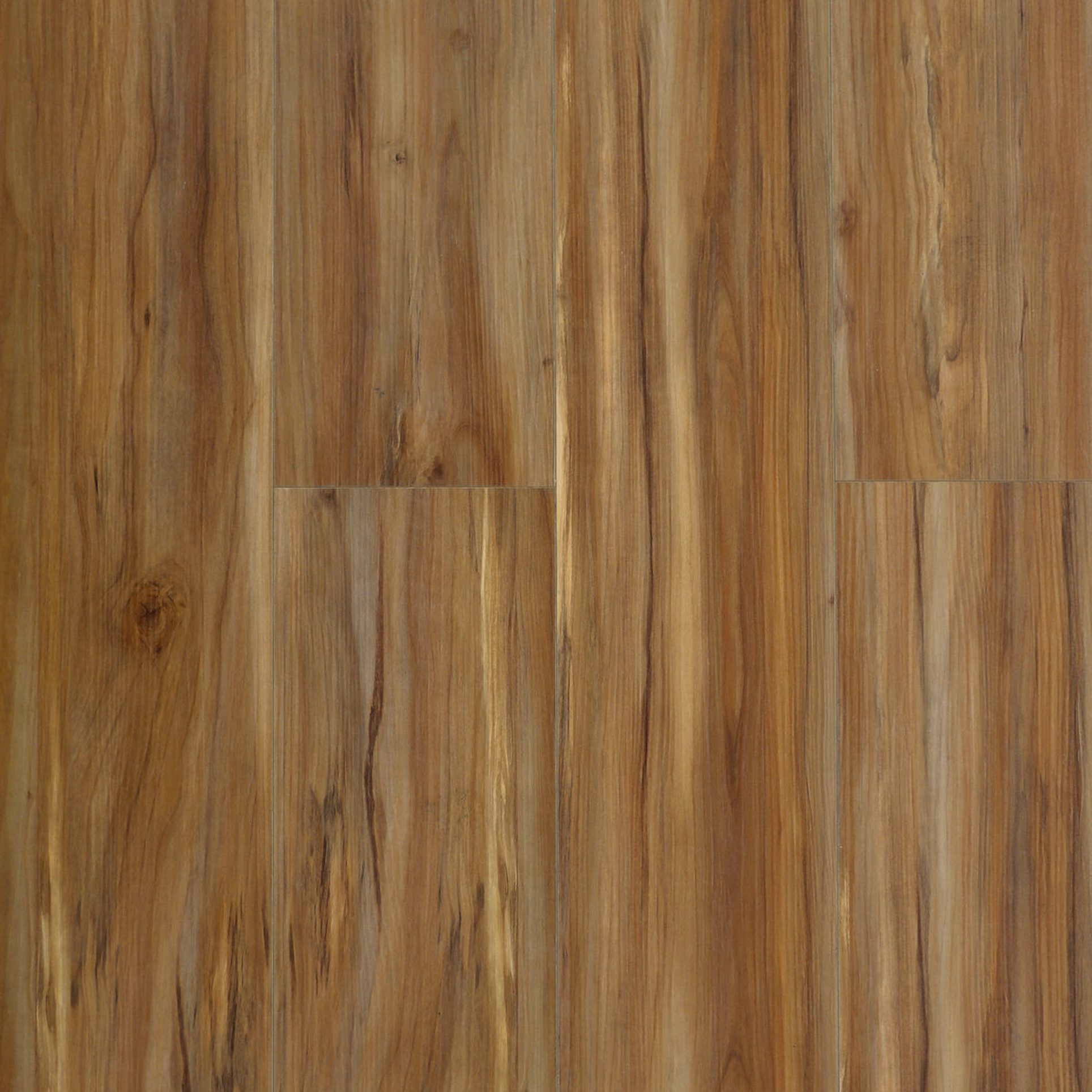 VEVO® Bean Town (Sample) Surface Lab