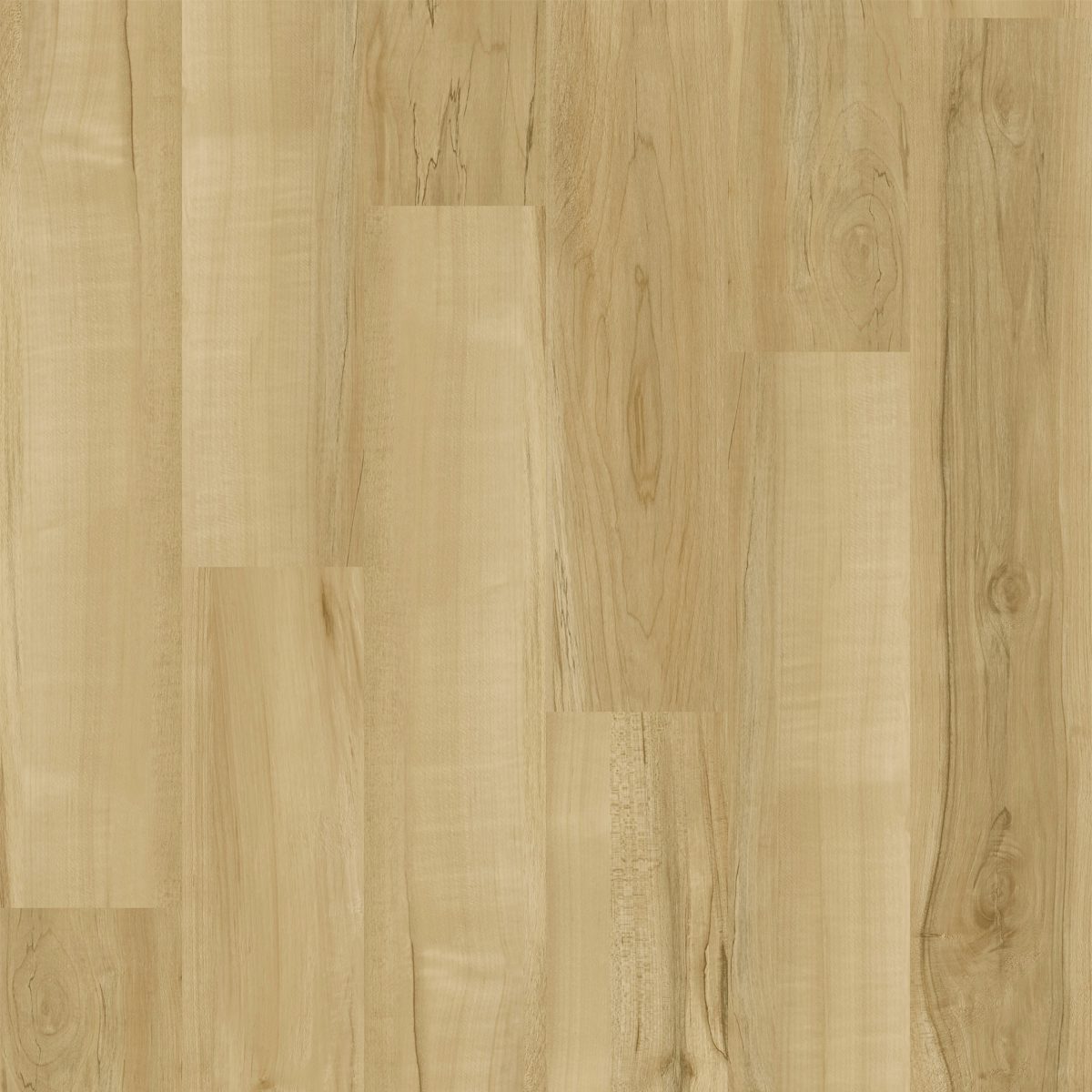 Atlantis - 1612-3 - Surface Lab