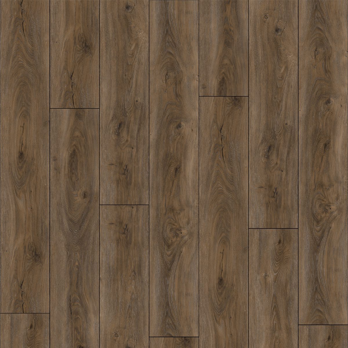 Casa Coral - 1616-6 - Surface Lab